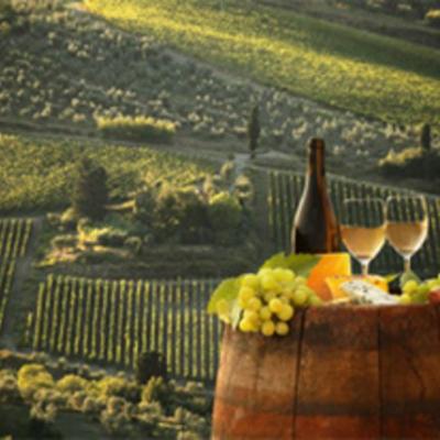 Safari vin valais nocturnologie